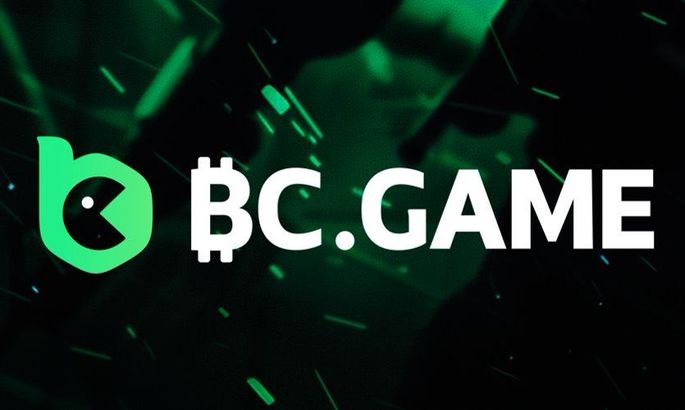 Corgibet Casino Privacy Policy Your Data Protection Guide