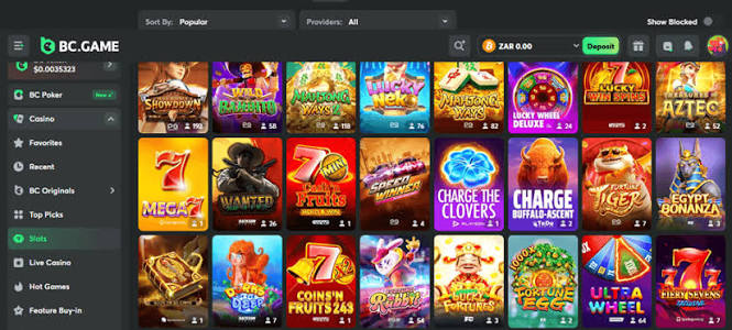 Corgibet Casino Privacy Policy Your Data Protection Guide