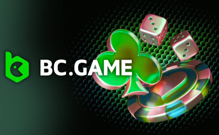 Understanding the BC.Game Argentina Login Process -326352697